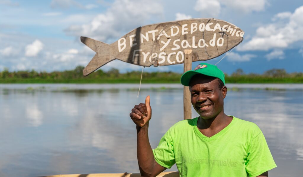 Tilapia fish farming in for beginner Zambia